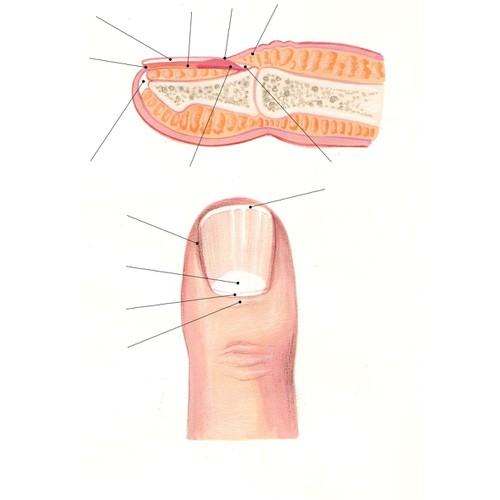 New art or illustration wanted for OnlineUSADoctors