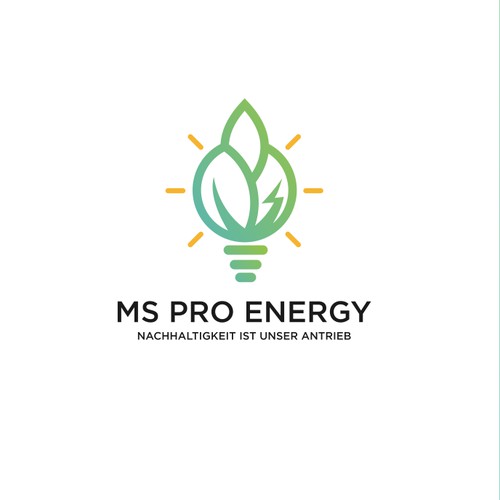 MS PRO ENERGY