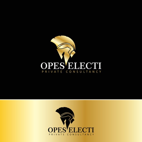 OPES ELECTI Private Consultancy