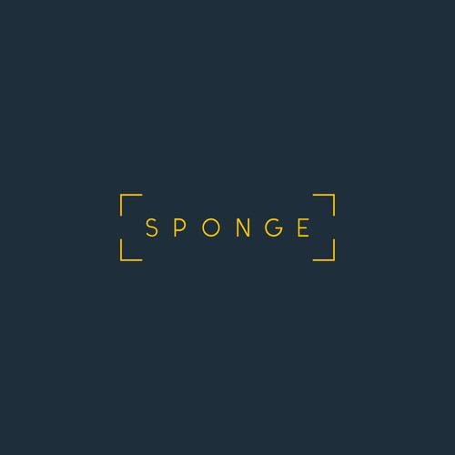 sponge