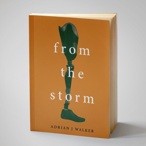 Cover design for novel