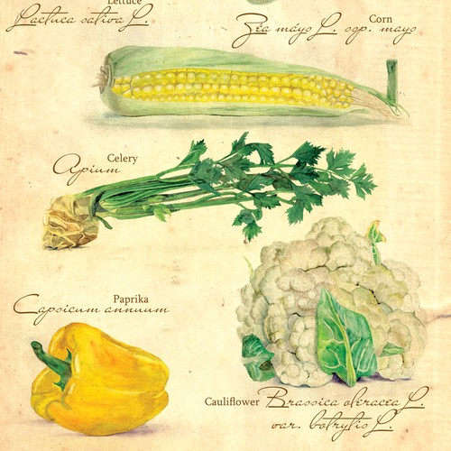 Create a modern and fun design for paper bags for fruit and vegetables!