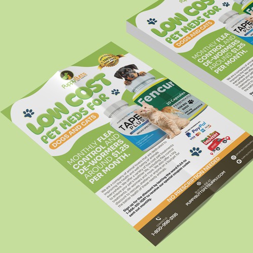 Pet Flyer Design