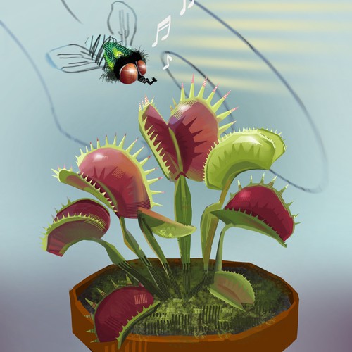 Venus Flytrap