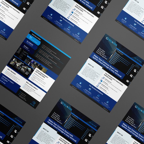 Truvios – Smart Surveillance 2-Sided Flyer