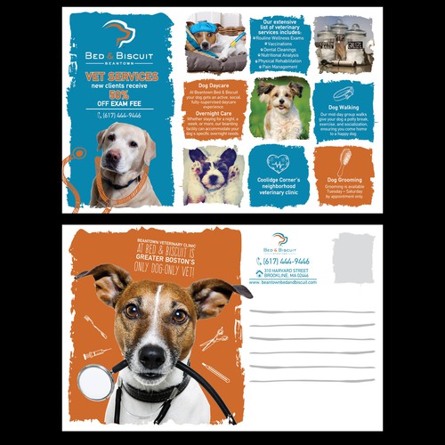 Postcard for pet clinic