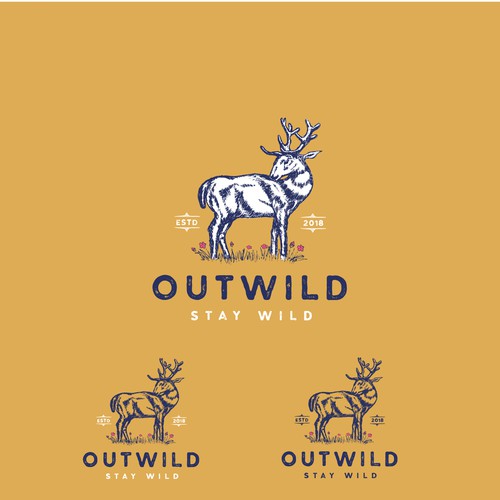 Environmental logo concept for Outwild 