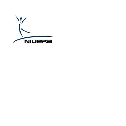 Create an awesome logo for NiuEra