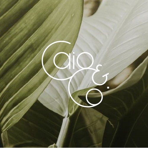 Minimal Wordmark 