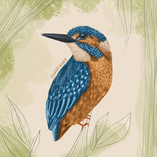 Kingfisher