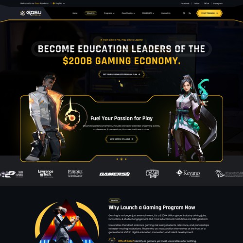 Gaming Website