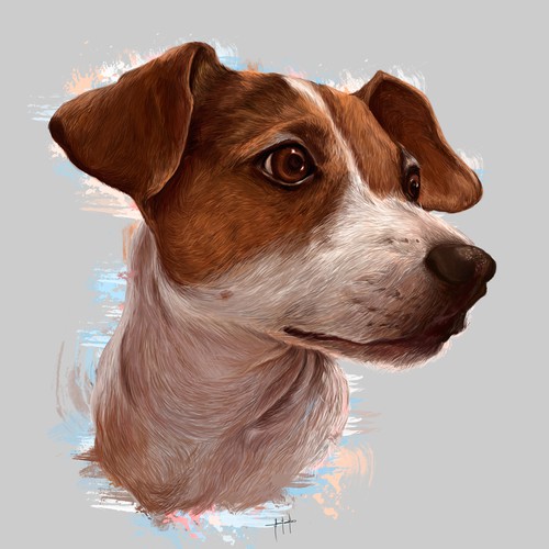 dog portrait