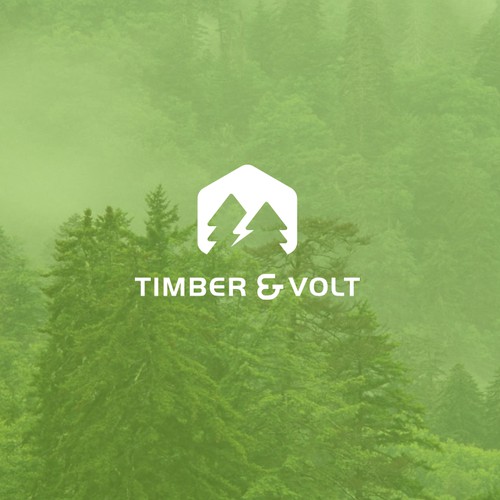 timber & volt