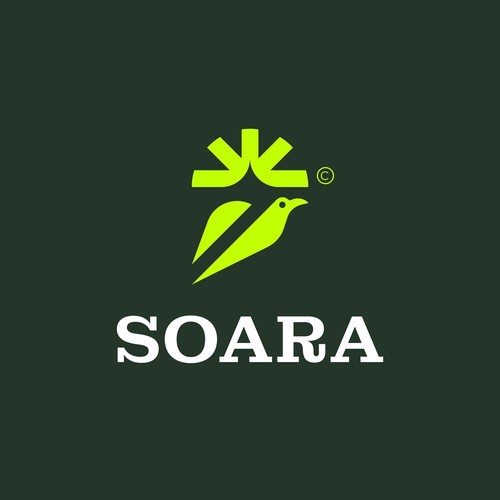 SOARA – Powering Company Logo