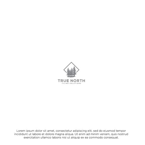 True North Tiling Solutions Logo