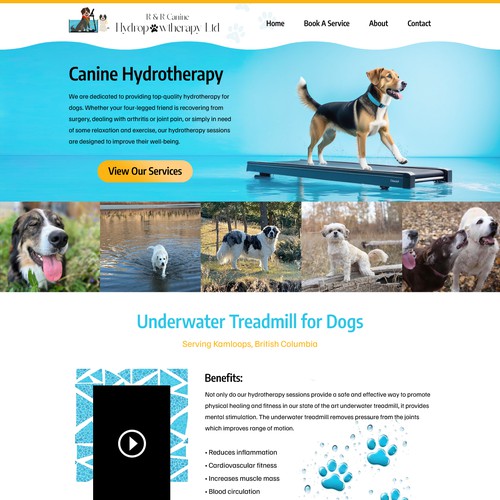 Dog Hydrotherapy Website