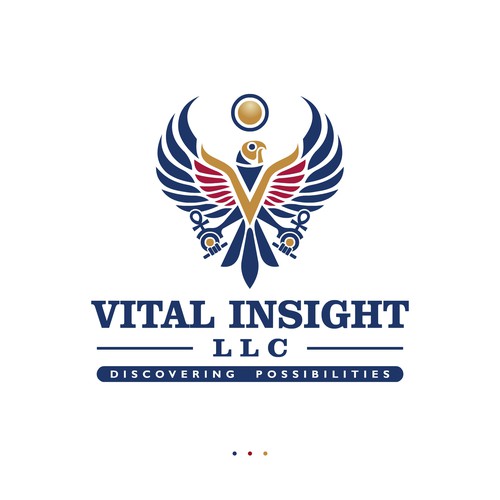 VITAL INSIGHT LLC