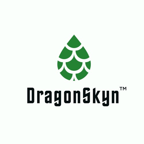 DragonSkyn Logo Design 