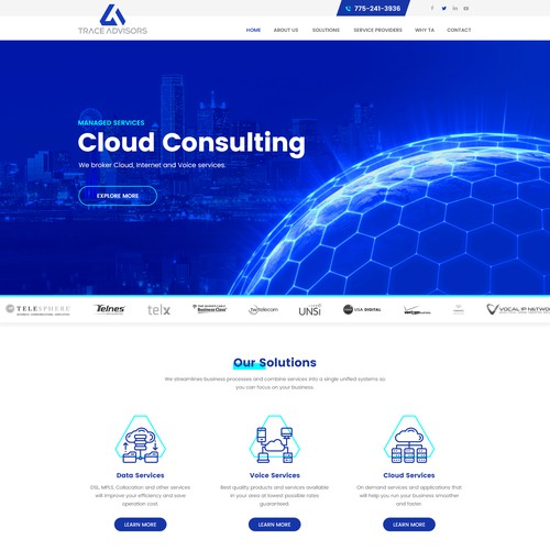 Web Page Design for Trace Advisors