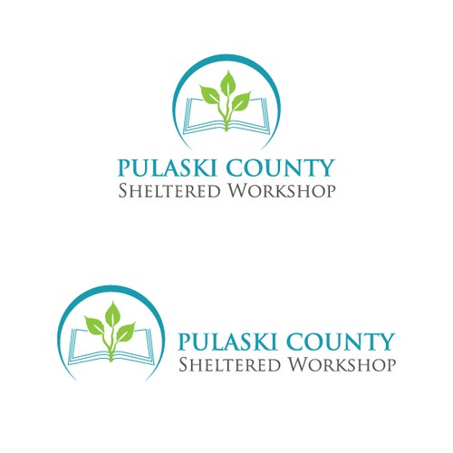 logo concept for pulaski county