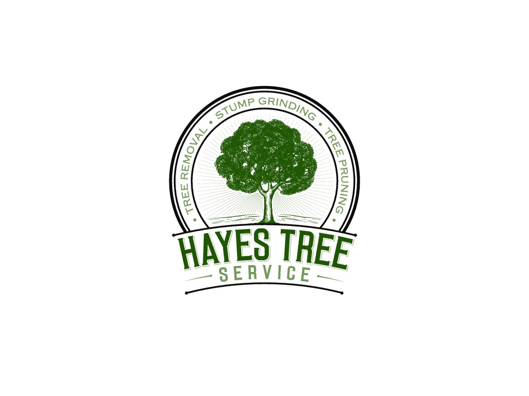 Hayes Tree Service needs a catchy logo