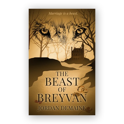 Book Cover Design for a Paranormal Fantasy Romance