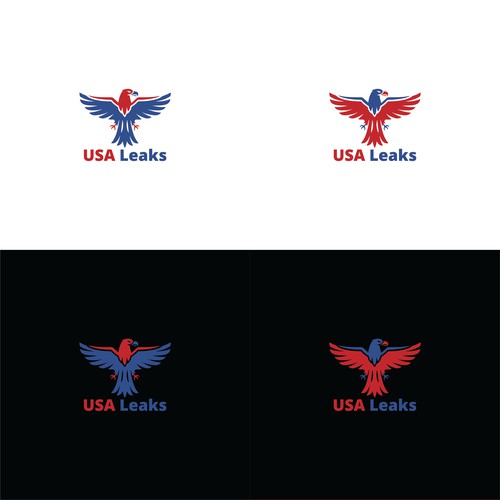 USA Leaks Logo