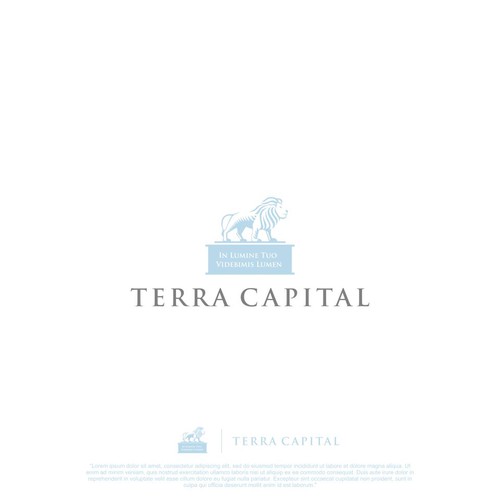 TERRA CAPITAL