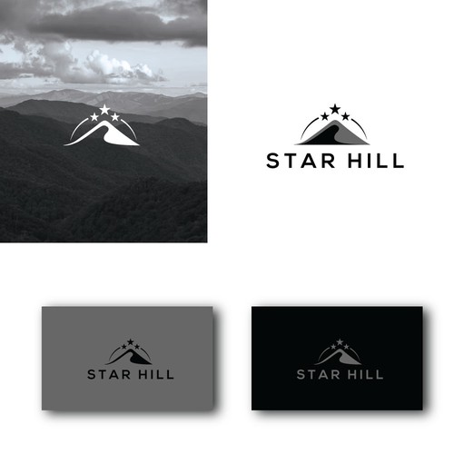 professionals & high end travelers logo design 