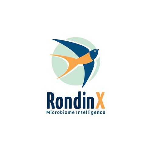 RondinX