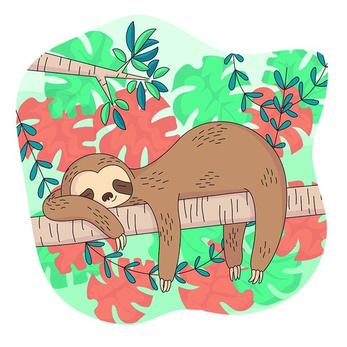 Sloth Illustration