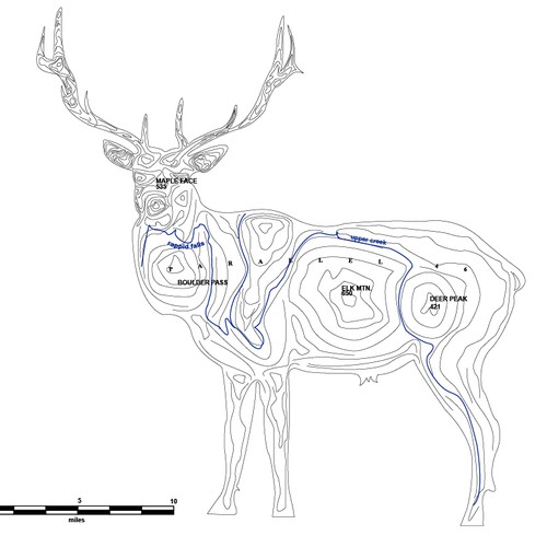 Create an capurting t shirt illustration for parallel 46