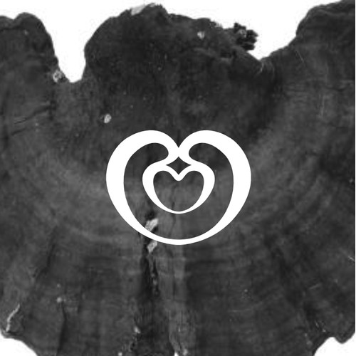 Reishi line drawing logo for a superfood mushroom brand