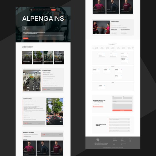 Alpegains Website Re design