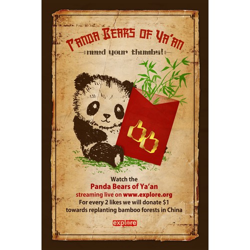 Help explore.org Design a Panda Campaign Poster!