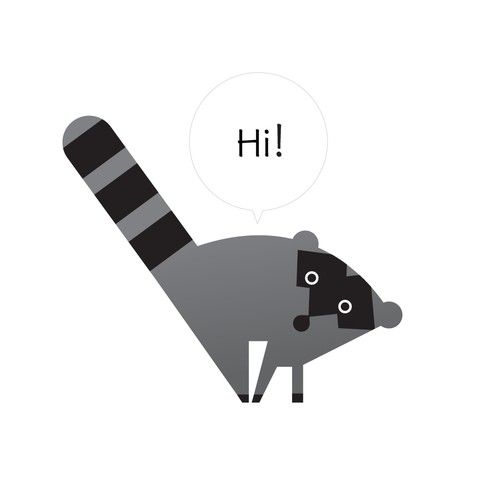 raccoon