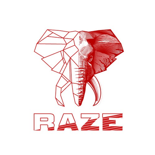 Raze Exchange logo design concept