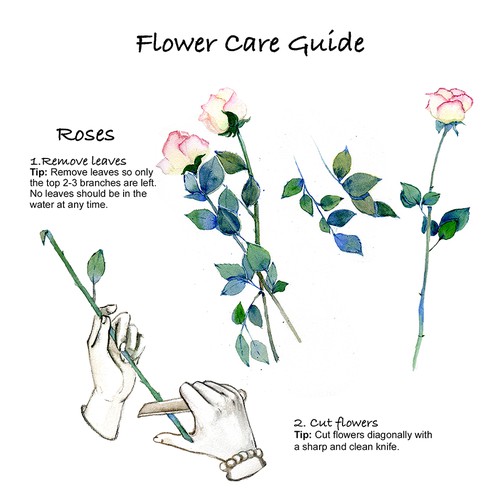 Flower Care