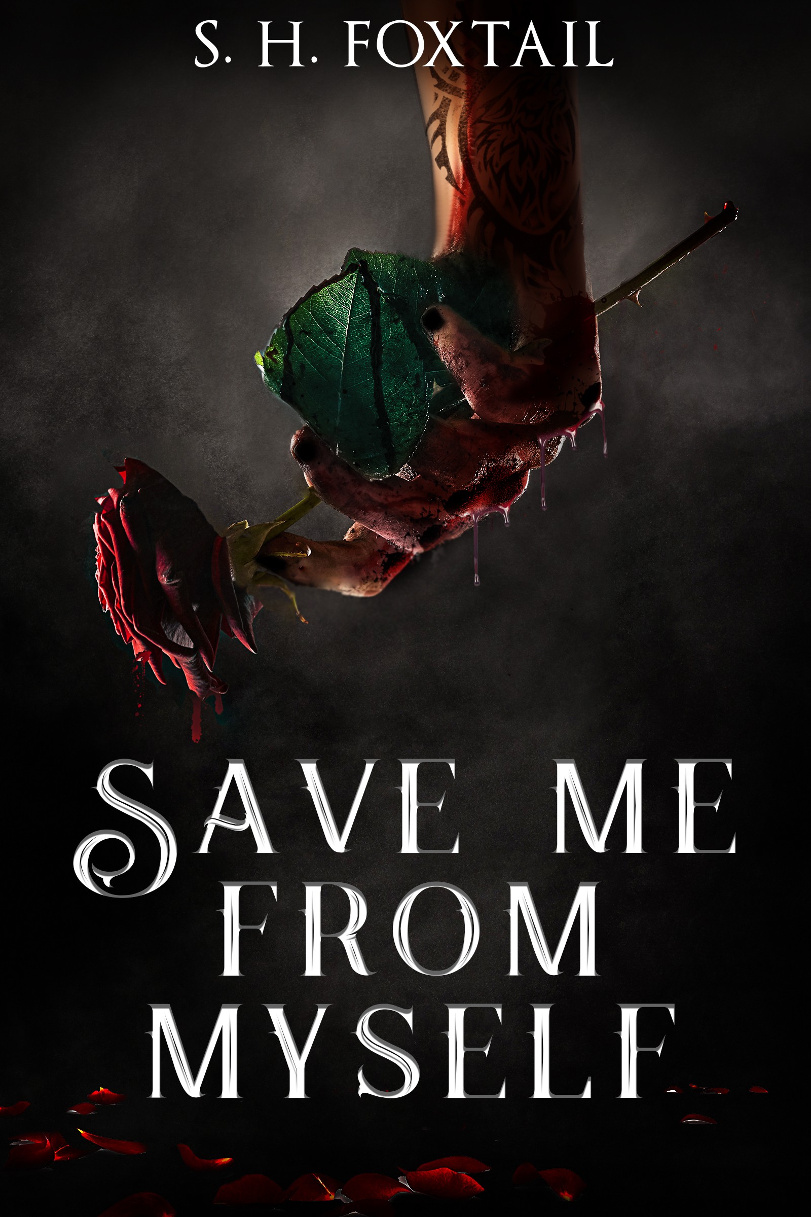 Book cover for a Kindle eReader