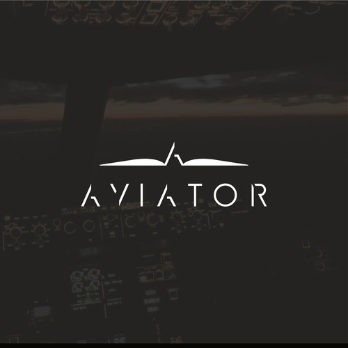 Aviator logo concept