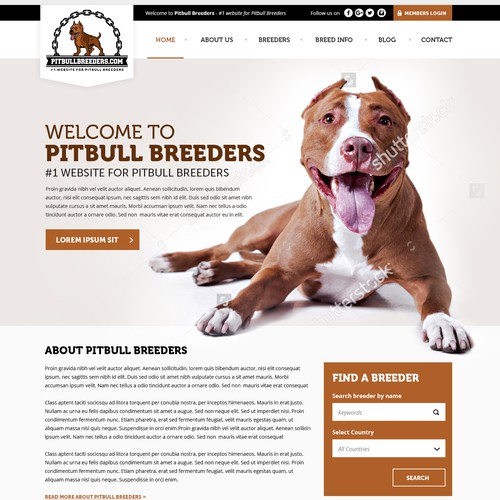 Dog, pet website design