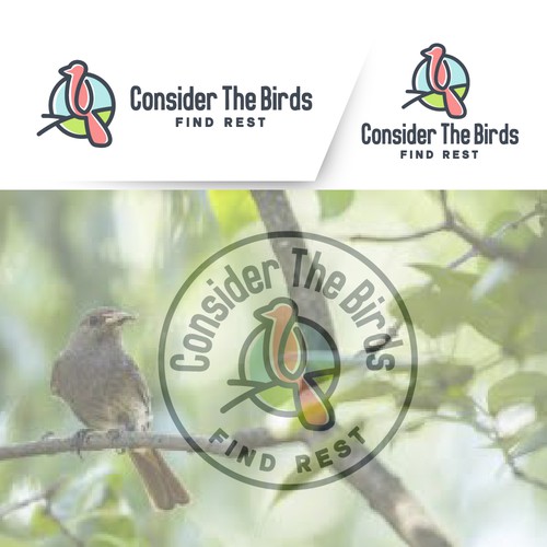 "Consider The Birds" Logo design