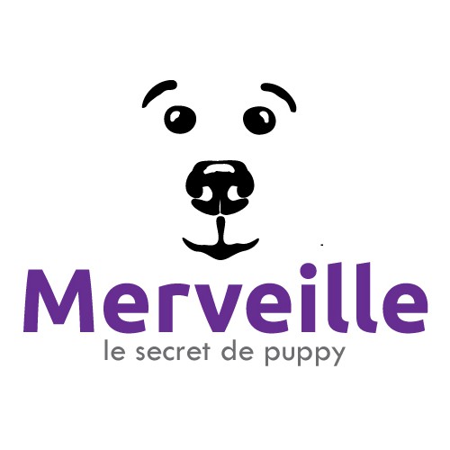 1st logo wanted for Merveille International