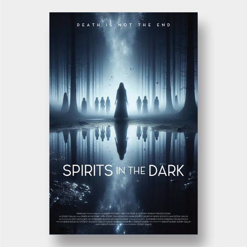 Spirits In The Dark Film Poster