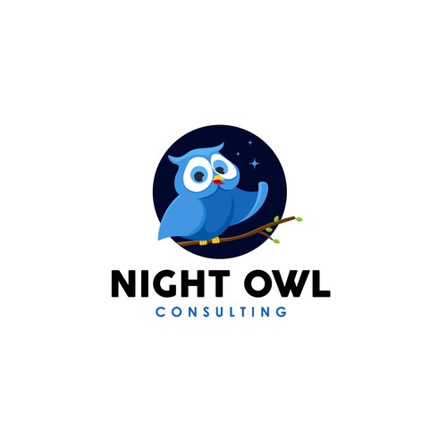 Night Owl Consulting