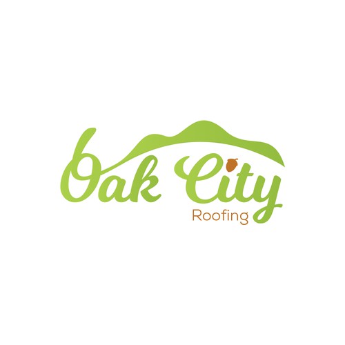 Logo concept for a roofing company