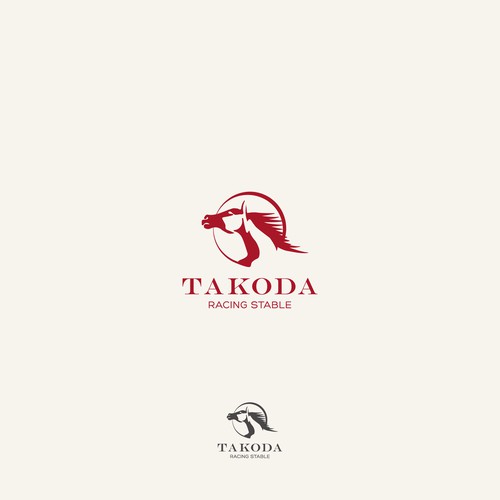 Logo concept for racing stabile