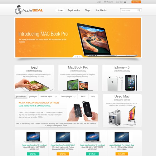 Website Design for Ecommerce Company