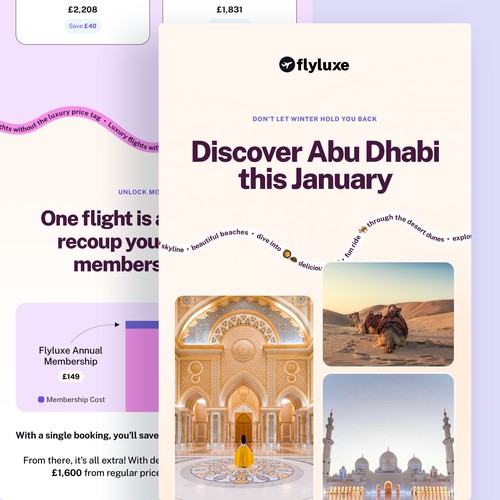 Business Class Flight Deals Newsletter