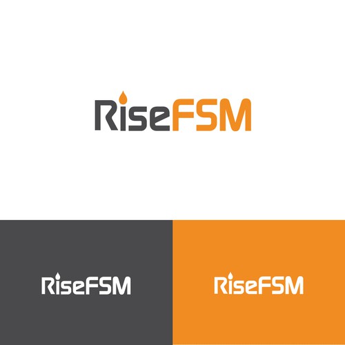 rise fmsm  logo